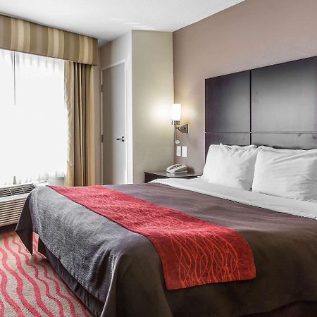 Comfort Inn Los Angeles Near Hollywood Esterno foto